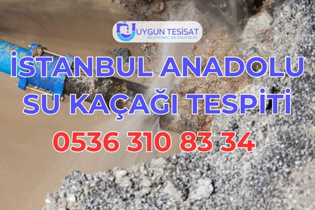 İstanbul Su Kaçağı Tespiti (Anadolu Yakası)