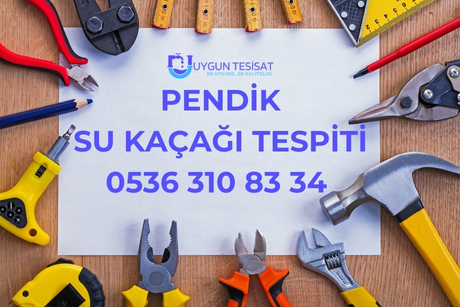 Pendik Su Kaçağı Tespiti