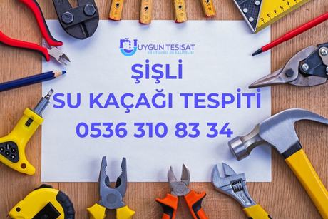 Şişli Su Kaçağı Tespiti